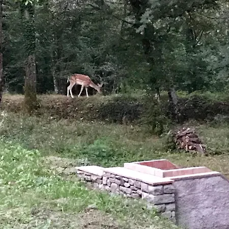 Mulino Di Valiana *